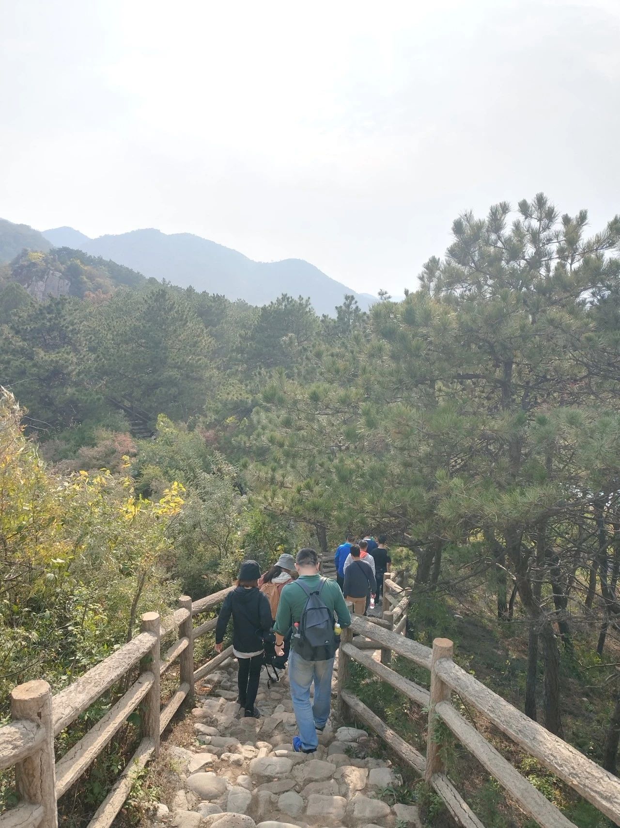 1697620948161089.jpg 1697620948161089.jpg